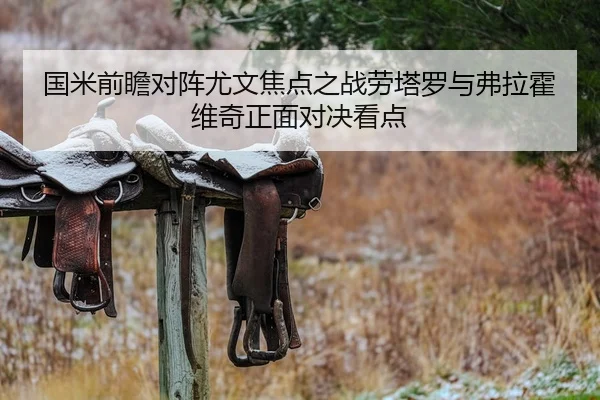 国米前瞻对阵尤文焦点之战劳塔罗与弗拉霍维奇正面对决看点 | cc7c7.app