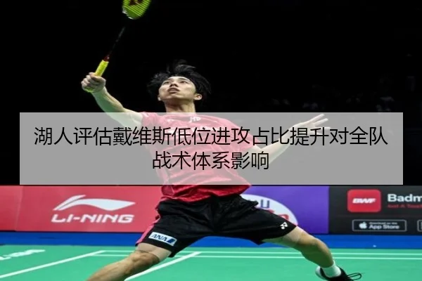 湖人评估戴维斯低位进攻占比提升对全队战术体系影响