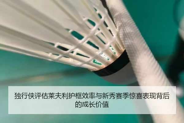 独行侠评估莱夫利护框效率与新秀赛季惊喜表现背后的成长价值 | cc7c7.app